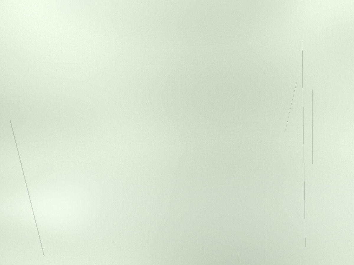 作品写真 9